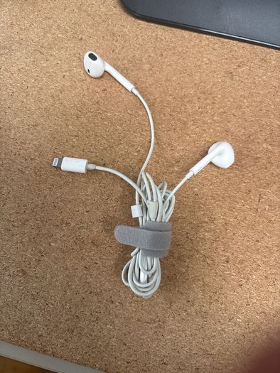 Apple Wired Earphones - Lightning Connector x 2