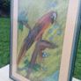 John Gallagher parrot pastel Image 3