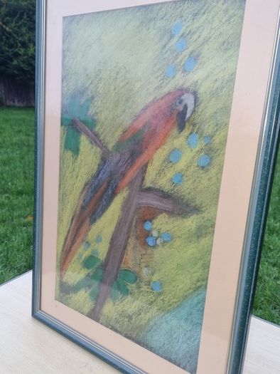 John Gallagher parrot pastel