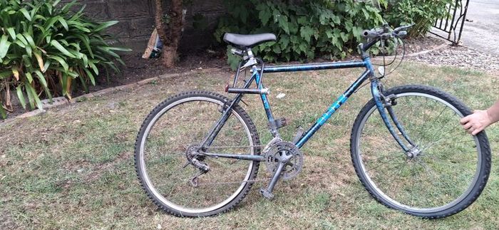 Adult bike