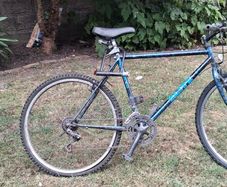 Adult bike