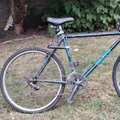 Adult bike
