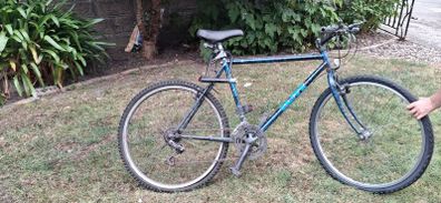 Adult bike