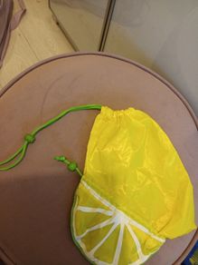 Wet swimwear bag