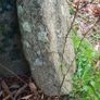 Millstone Image 3