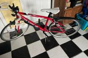 Apollo Bike for sale ( Quick Sale needed)