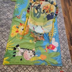 Baby Rocker and Play Mat