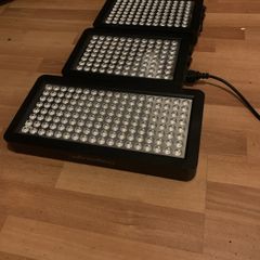Plant Grow Lights Full spectrum