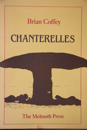 Chanterelles
