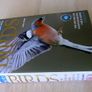 DK Birds Image 2