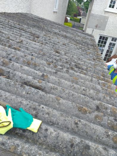 Asbestos Removal & Disposal Services