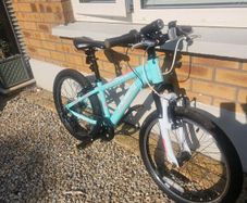 Team FT920 girls bike