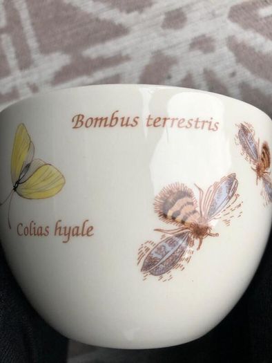 Set of 3 Wedgwood "Sarah's Garden" Pattern Cups and Saucers in Perfect Condition Fruit Bees Butterflies