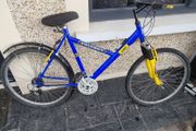 bike  small service good condition