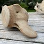 Whale vertebrae Image 3