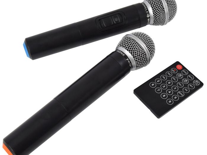 12" Bluetooth PA Speaker