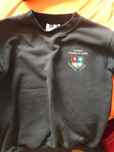 Gaelscoil Thaobh na Coille jumper