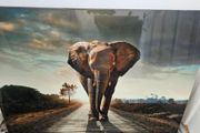 Canvas picture