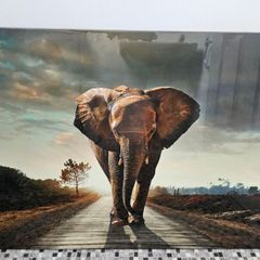 Canvas picture