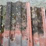 roof tiles Image 2