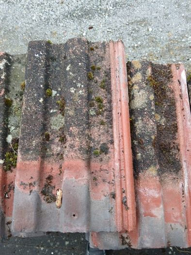 roof tiles