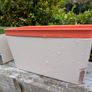 self watering Image 2
