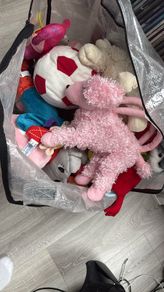 Big bag of  teddys FREE