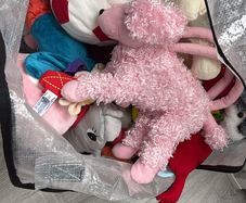 Big bag of  teddys FREE