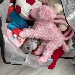 Big bag of  teddys FREE