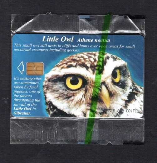 2001 Gibraltar 25 unit Wildlife of Gibraltar Little Owl (Siemens - S5 (Module 33)) Phonecard New in Packaging