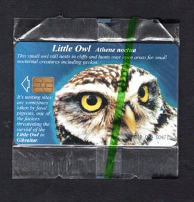 2001 Gibraltar 25 unit Wildlife of Gibraltar Little Owl (Siemens - S5 (Module 33)) Phonecard New in Packaging