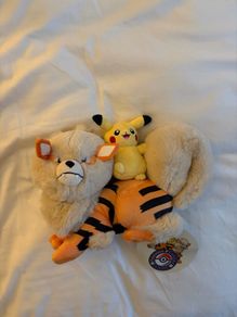 Pokemon Centre Okinawa exclusive plush