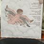 Bill Callahan (Smog) - Shepherd in a Sheepskin Vest Image 9