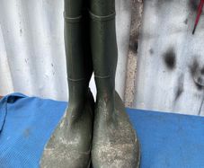 Size 10 steel toe wellingtons