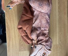 dinosaur (sfx wow stuff)