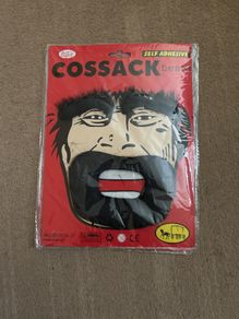 Fake beard and eyebrows