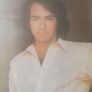 Jonathan Livingston Seagull - Neil Diamond 1973 Vinyl Image 7