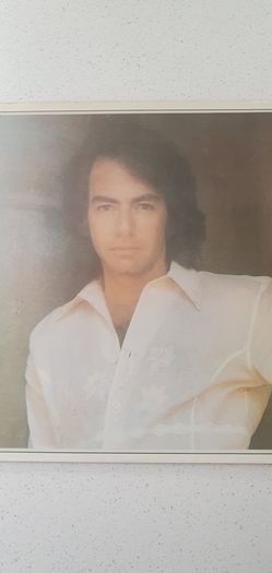 Jonathan Livingston Seagull - Neil Diamond 1973 Vinyl