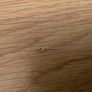 Airfix Image 4