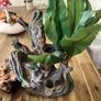 Bunch of terrarium Decoration Equipments Image 2
