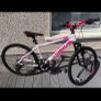 26 inch mountain Bike Image 2