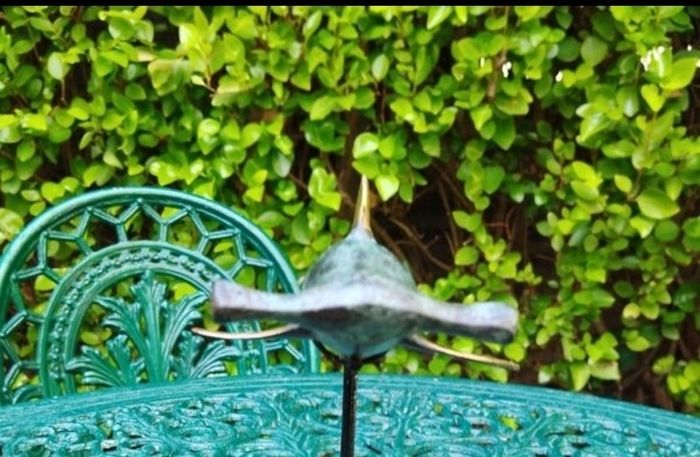 Hammerhead Shark - Patinated Bronze With Gold Accents