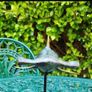 Hammerhead Shark - Patinated Bronze With Gold Accents Image 8