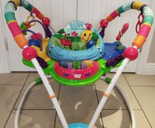 Baby Einstein Bouncer