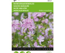 Buzzy Musk Mallow Pink Seeds 0.5g | Sow in July - August