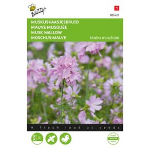 Buzzy Musk Mallow Pink Seeds 0.5g | Sow in July - August