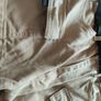 Ladies Shorts Image 4