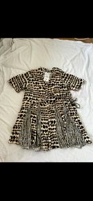 Zara dress
