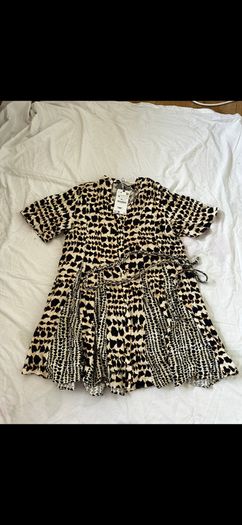 Zara dress