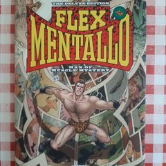 Vertigo Comics Flex Mentallo